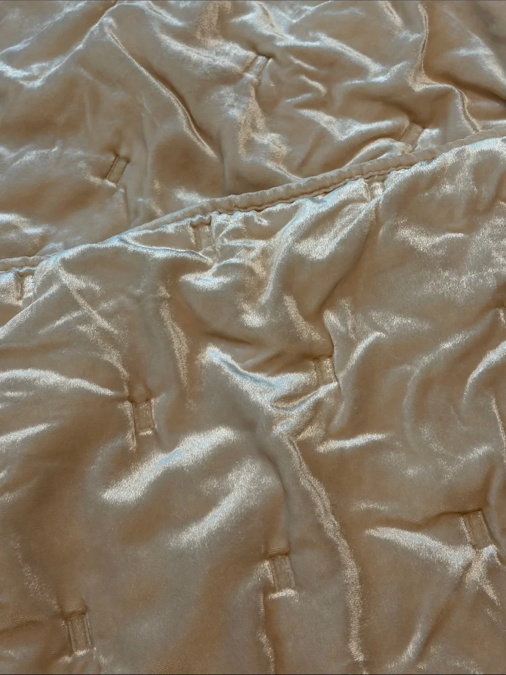 West Elm Shimmery Cream Decorative Pillow Cover (set of 2)